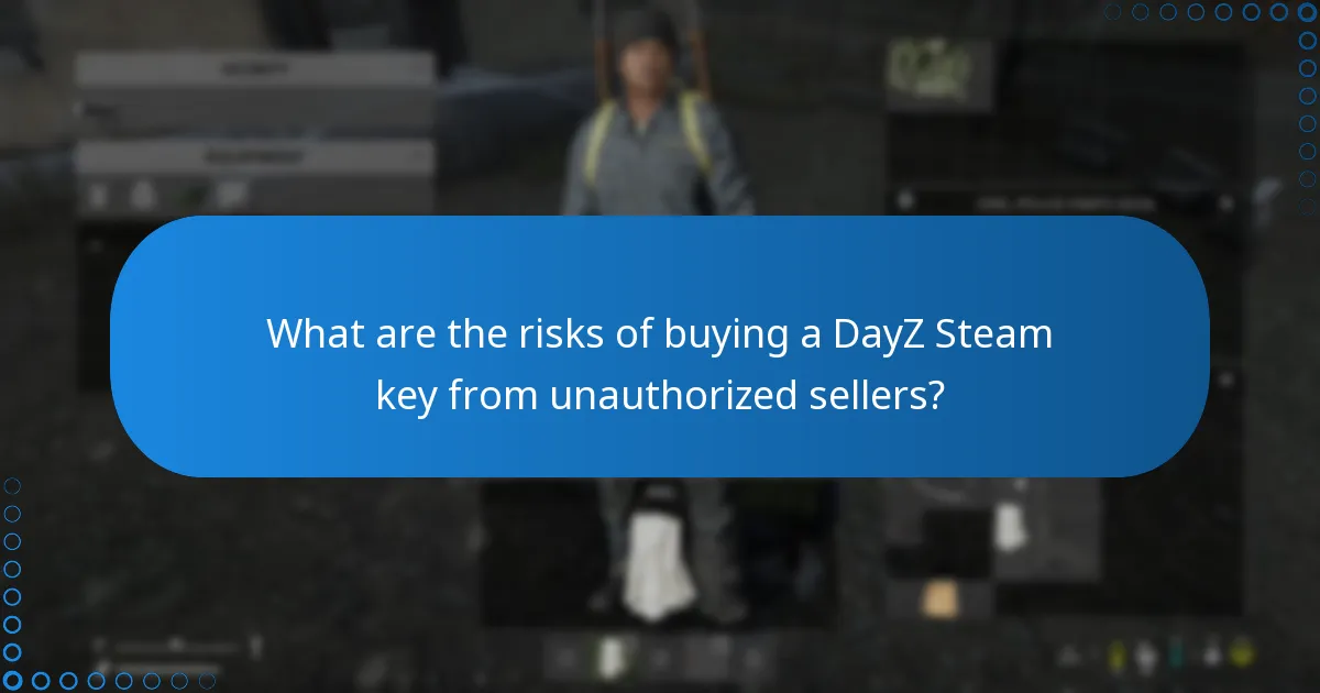 What are the risks of buying a DayZ Steam key from unauthorized sellers?